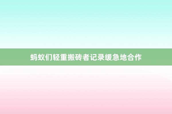 蚂蚁们轻重搬砖者记录缓急地合作